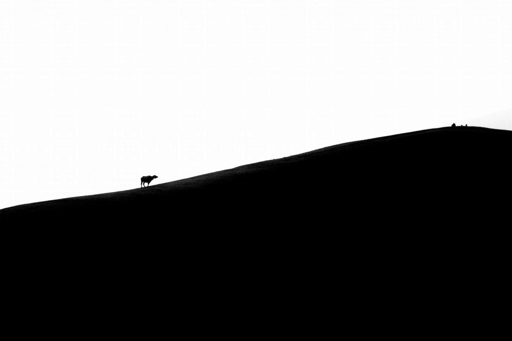 13-6186-17_PX3_IMG_2398