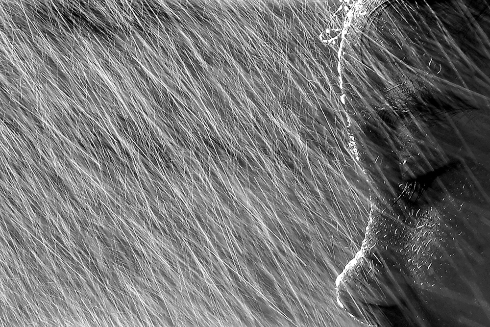 13-6901-17_PX3_Water_revisited_3_potd__potm