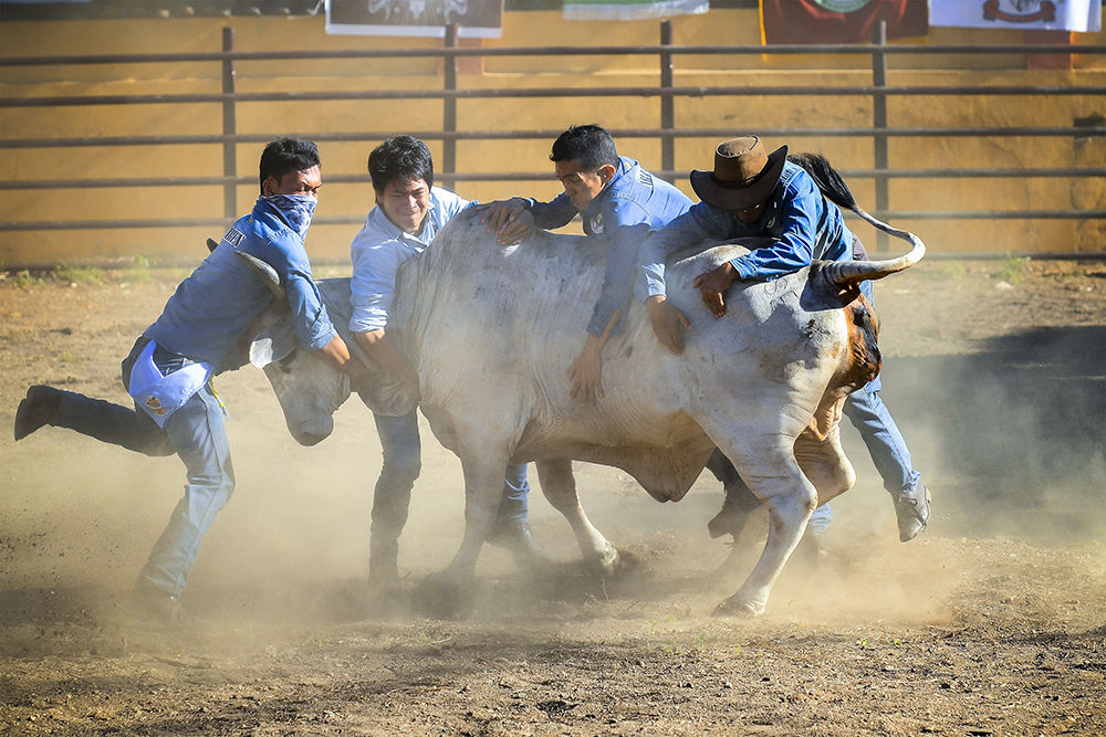 13-7112-17_PX3__DSC5663